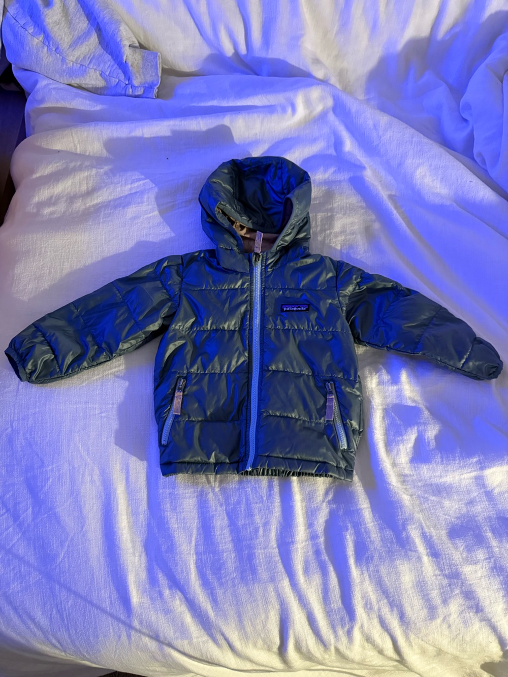 Patagonia Kids Hooded Puffer Jacket - Forest Green